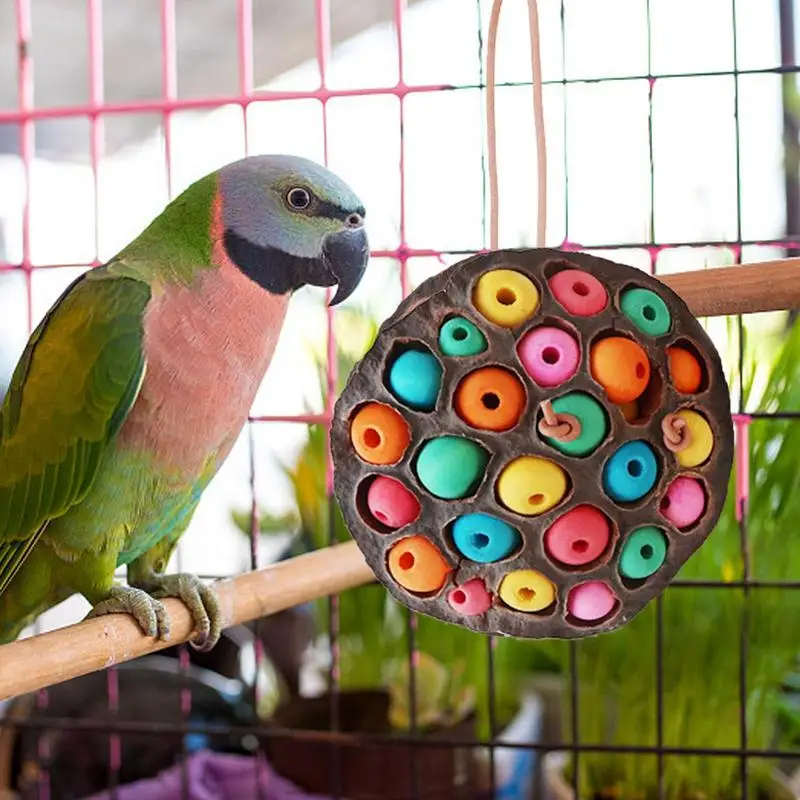 Lotus Pod-shaped Bird Parrot Anti Biting Natural Chew And Foraging Toy For Parakeet Cockatiel Entertainment Pet Supplies