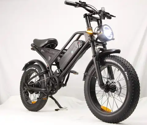 Spedizione in magazzino locale Ebike DK401 Peak per adulti 249w48V18.2AH Batteria per pendolari fuoristrada 20 * 4.0 ''Pneumatico Doppia sospensione E-Bicicletta