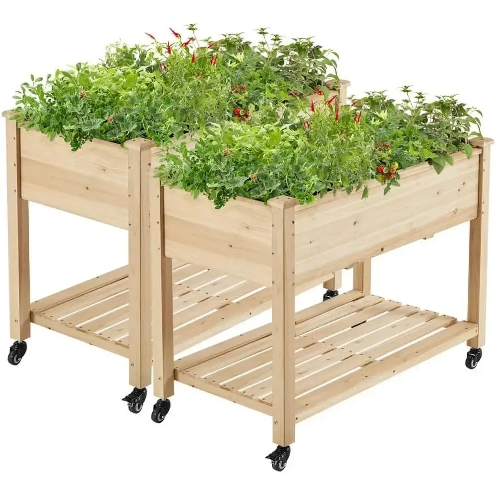 Dual Wooden Elevated Garden Beds with Wheels for Growing Vegetables and Herbs