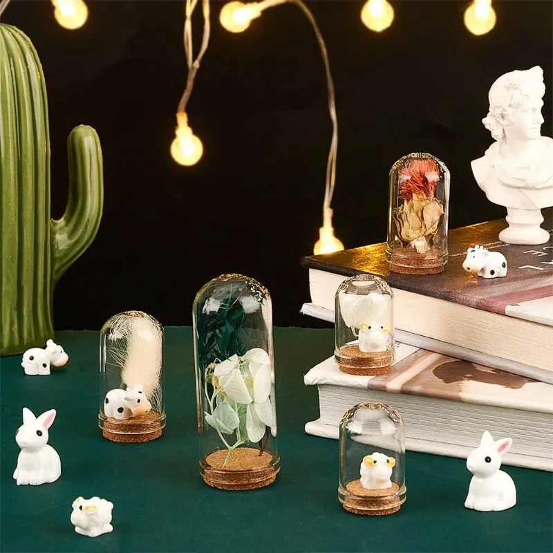 12pcs Glass Display Dome Cloche 3 Size Glass Bell Jar with Cork Base Glass Bottles Dome Decorative Jars Display Case for Flower