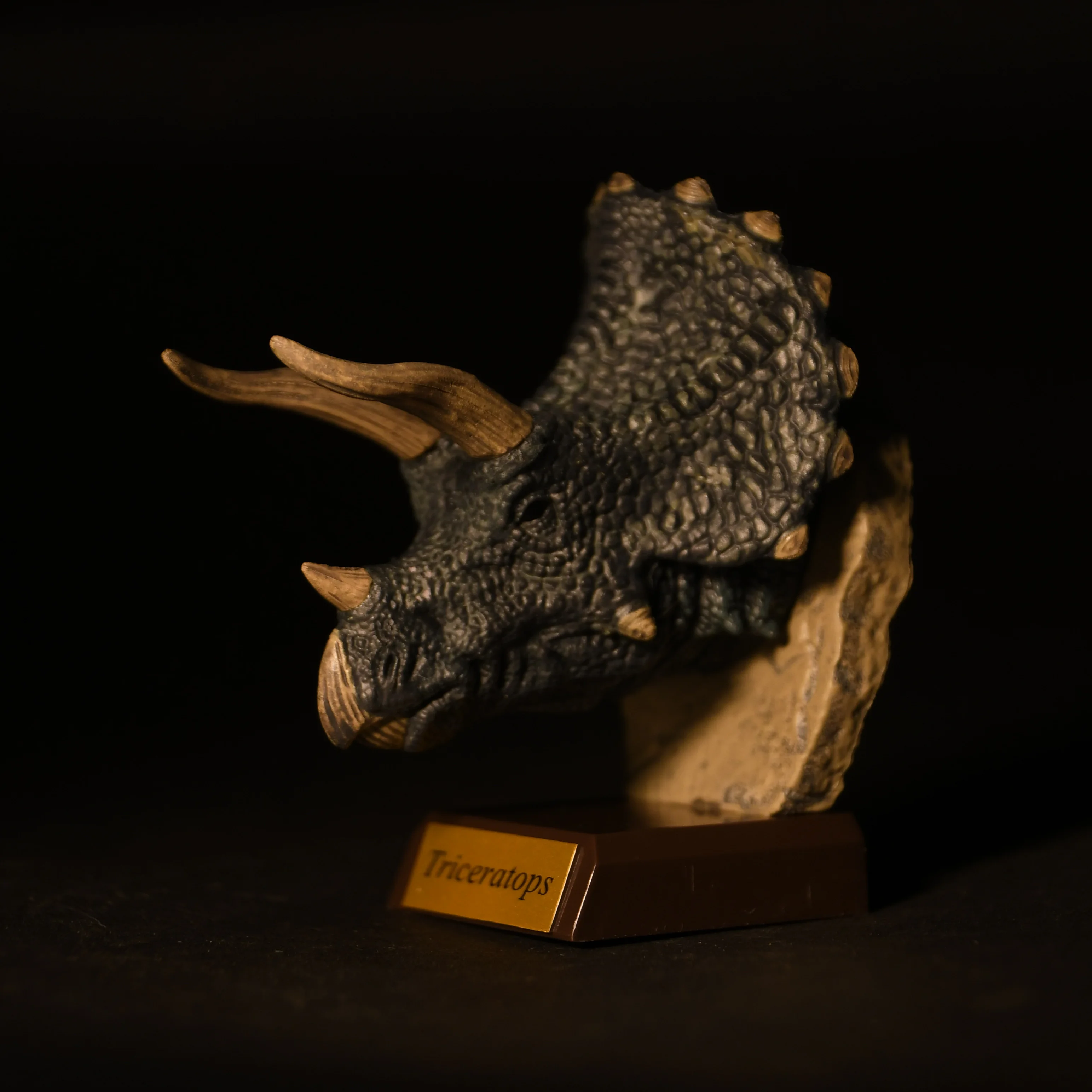 Qualia capsulespeelgoed Echte woeste Dinosaur Head Collection jachttrofee Triceratops Tyrannosaurus realistische ornamentenfiguren