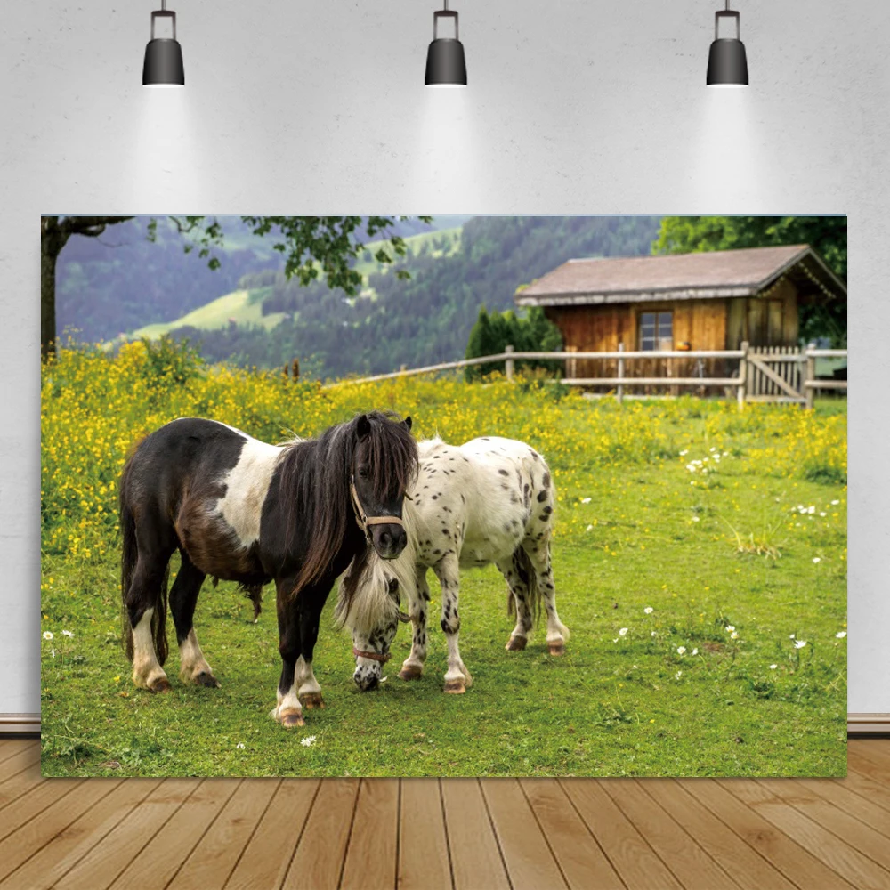 تشغيل الحصان المراعي السماء الزرقاء غائم المشهد فوتوزون التصوير خلفية الصورة خلفية فوتودعوة للصور استوديو الدعائم