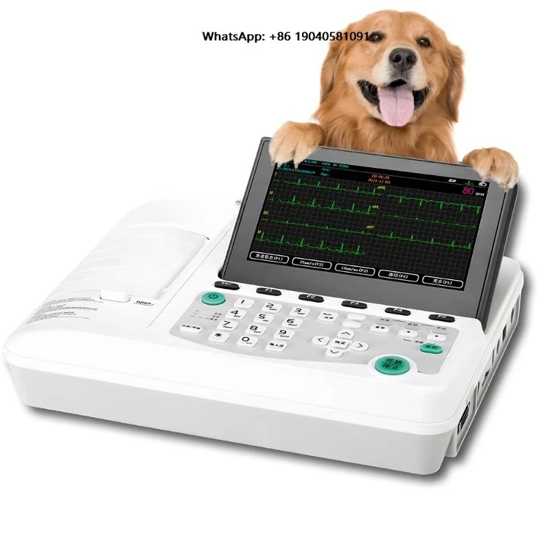 China Portable 3/6 Channel Lead Veterinary ECG Ekg Machine Device for Animals Built-in Thermal Printer