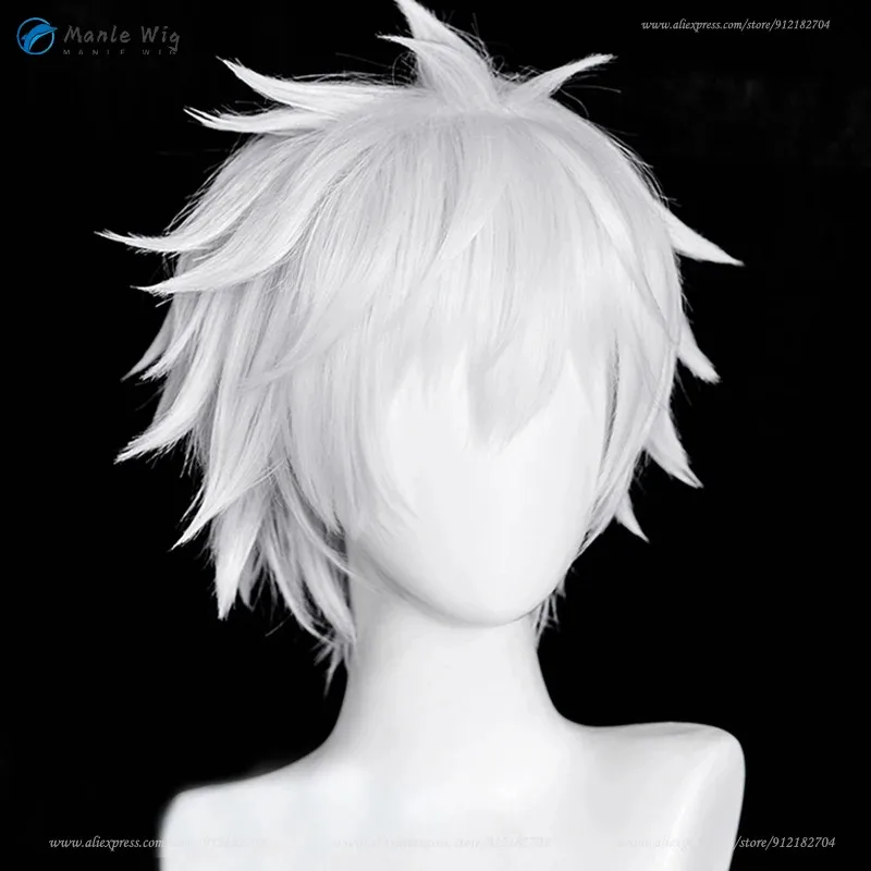 Type 2 /Silver White Zoldyck Cosplay Wig 30cm Short Killua Zaoldyeck Anime Cos Wigs Heat Resistant Synthetic Hair