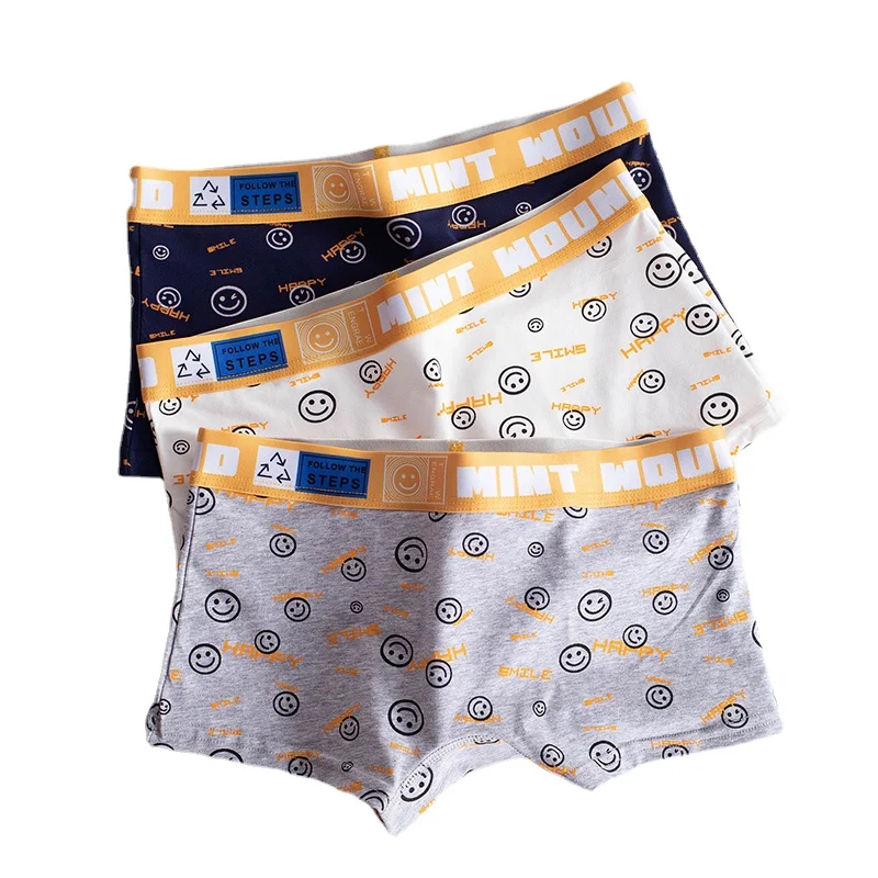 HaleyChan 1Pc Women\'s Underwear Cotton Smiley Printed Boxer Briefs Trans Lesbian Tomboy LGBT Lingerie Knickers Fashion Panties