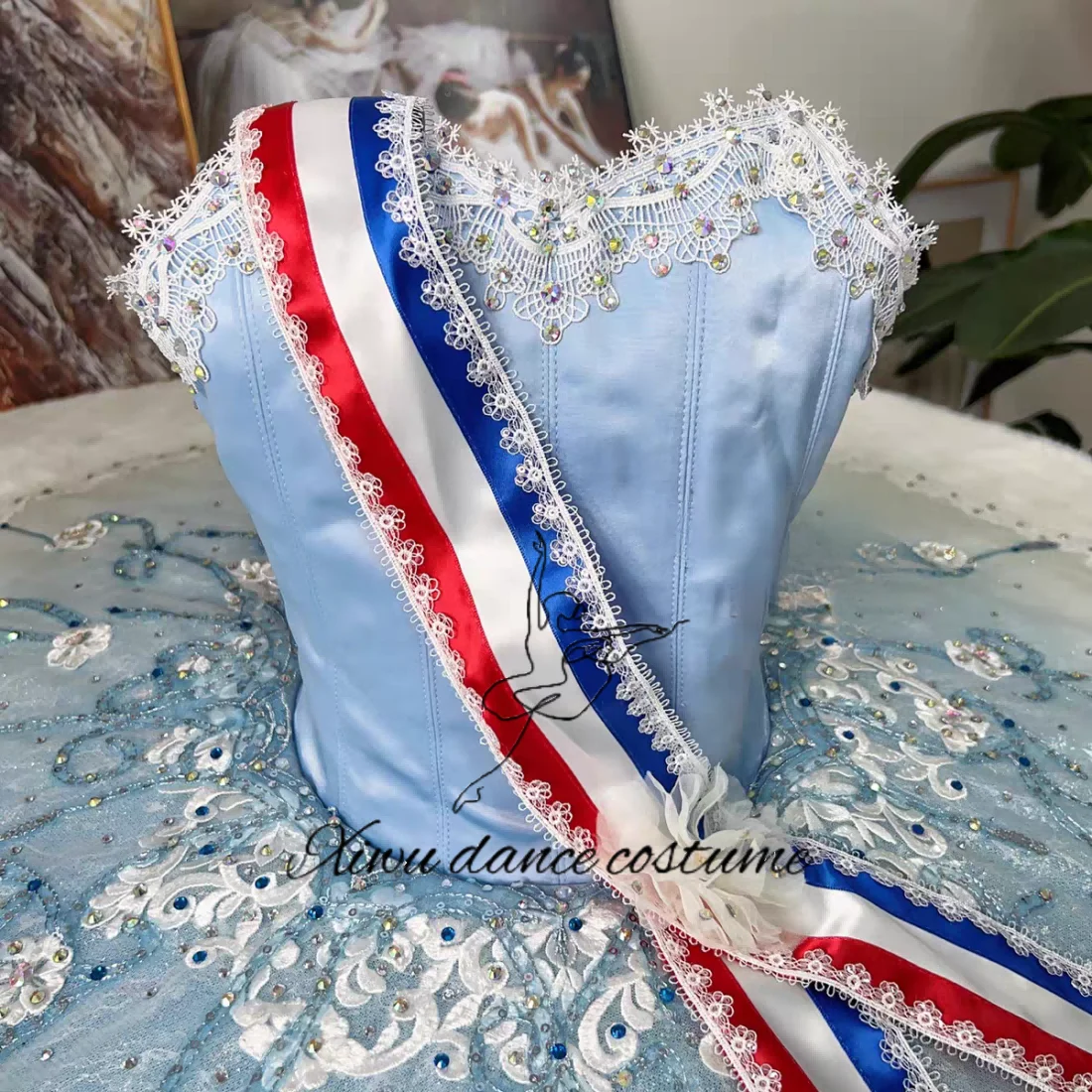 Costume de spectacle de ballet bleu à variation féminine de flamme de Paris personnalisé