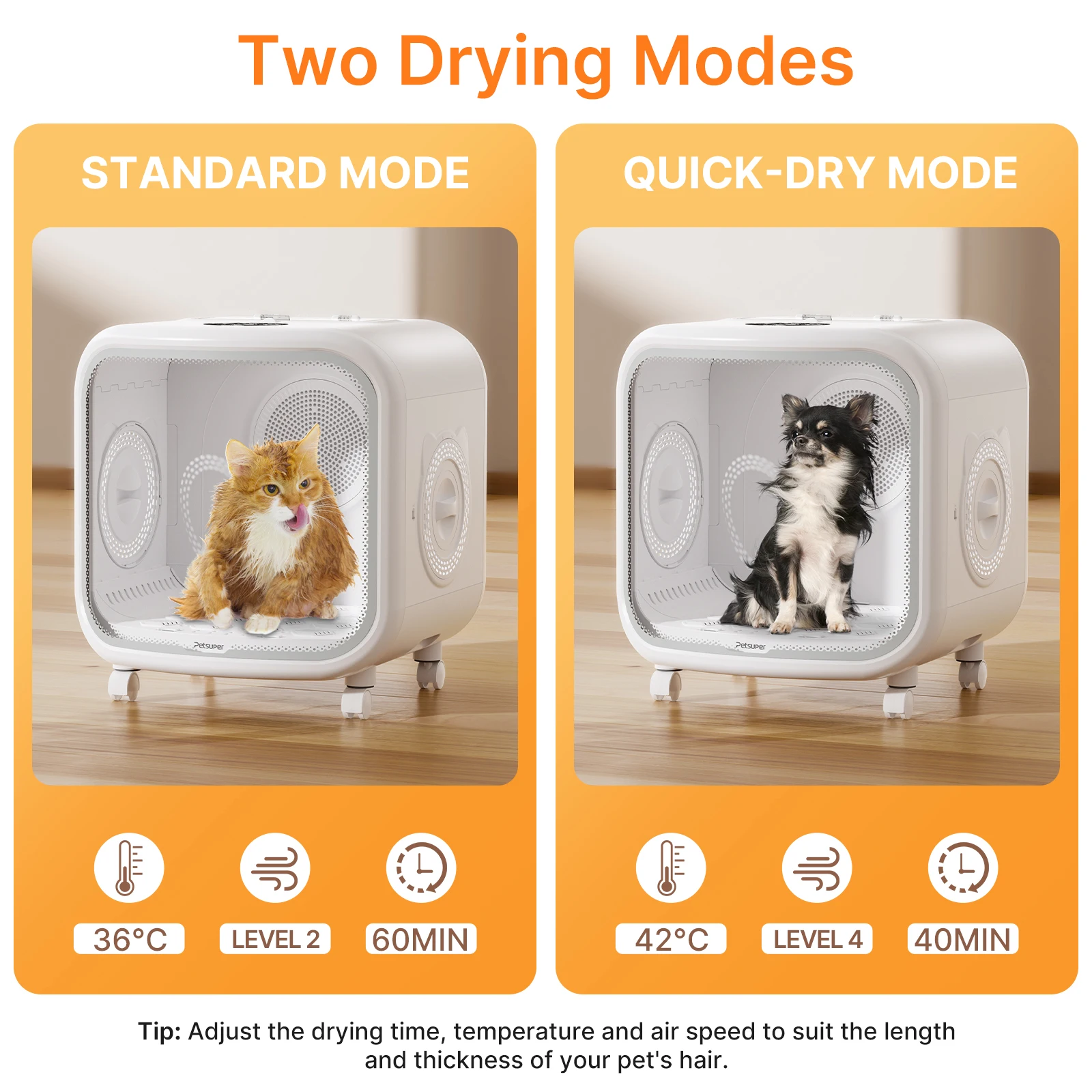 Factory Direct 2026 Wholesale Automatic High Velocity Dog and Cat Hair Blower Cat Plastic Groomers Dryer Box Drying Cabin