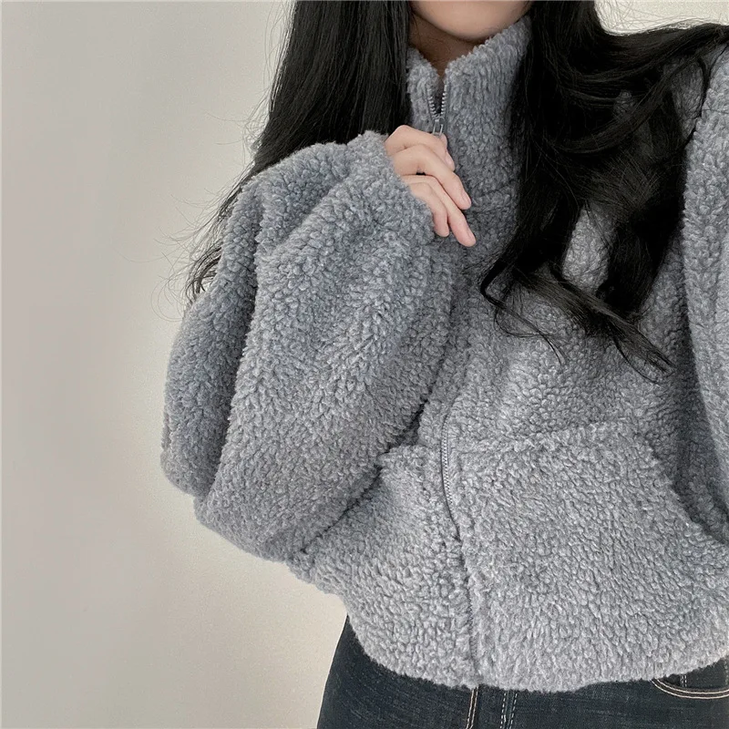 Koreanischer Stil Stehkragen-Hoodie mit Reißverschluss Übergroßer Damen-Hoodie für Herbst/Winter Lammwolle Langarm-Freizeitoberteil Y2K Streetwear-Stil – Detail 19