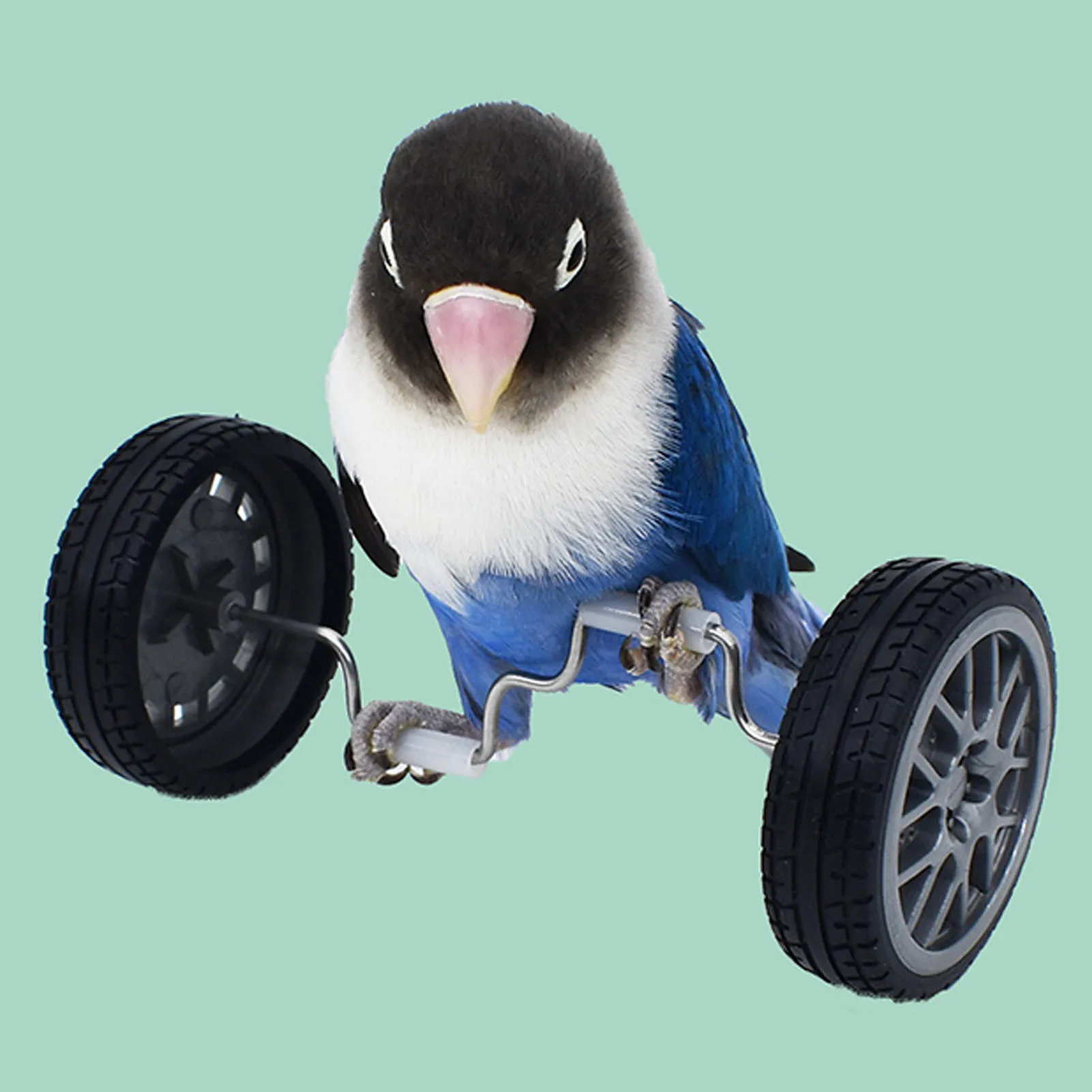 Bird Boredom Balancing Car Toys Reduces Aggression and Loneliness in Birds for Cockatiels Budgie Parroket