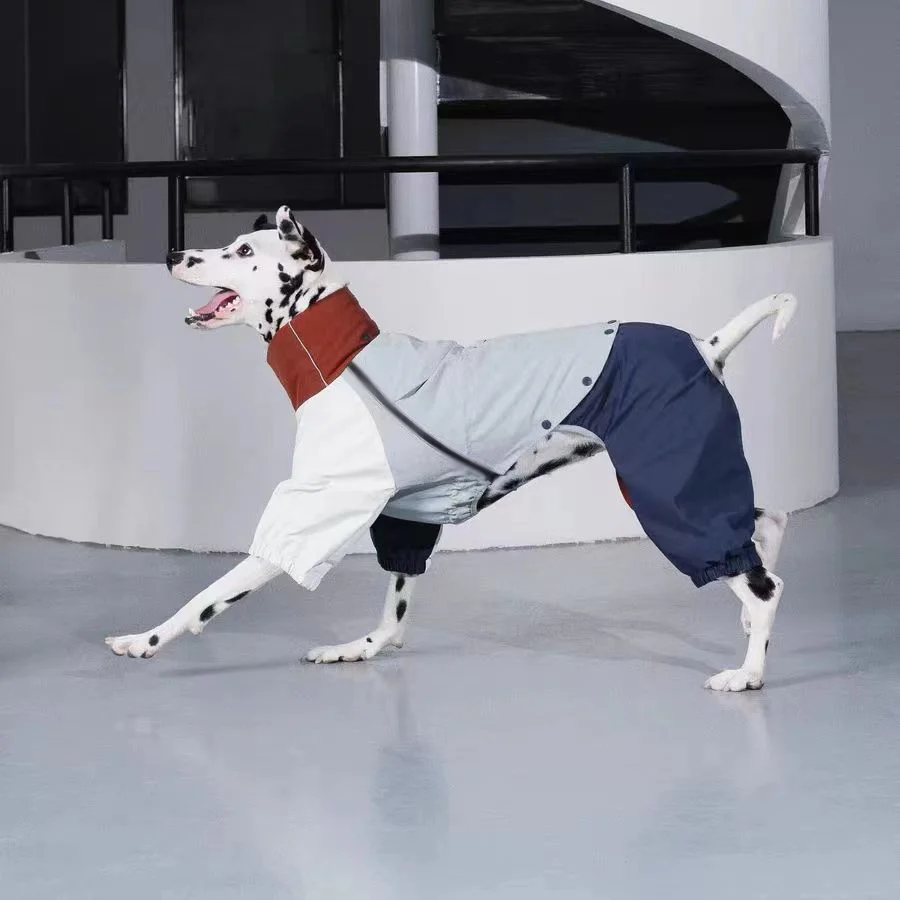 Chaqueta de intercambio galgo italiano Whippet, ropa ligera Iggy, chaqueta impermeable a prueba de viento para medios pequeños, perros grandes