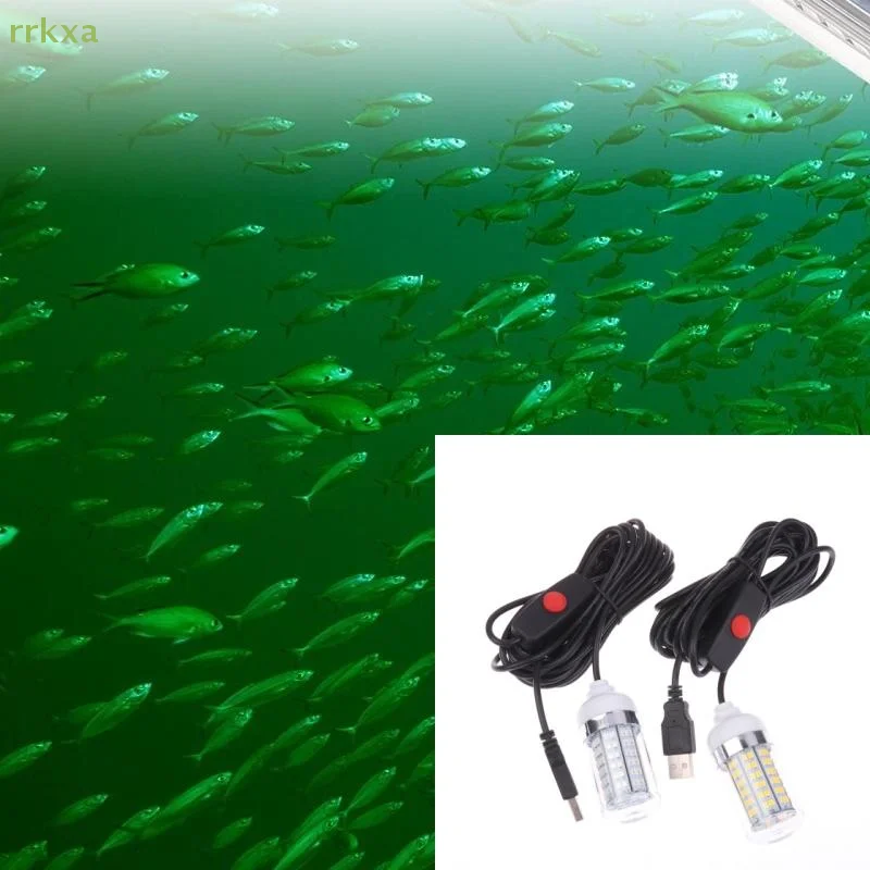 4-Farbige Unterwasser-Angellam – Aquarium Fish Diseases Bewertung und Preis
