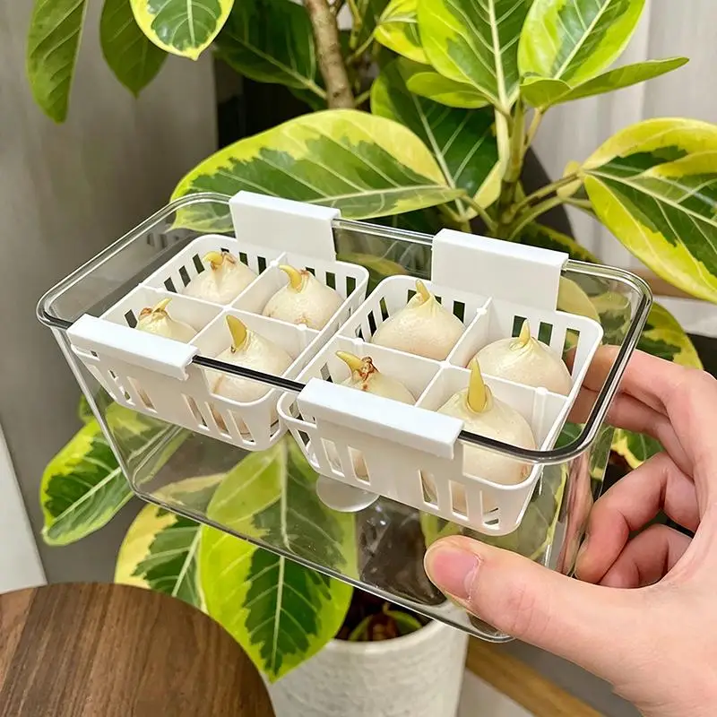 

New Flower Grow Kit Clear Acrylic Square Basin Root Check Strong Stable 8 Hole Basket Bulb Care Indoor Decor Hydroponic Planter