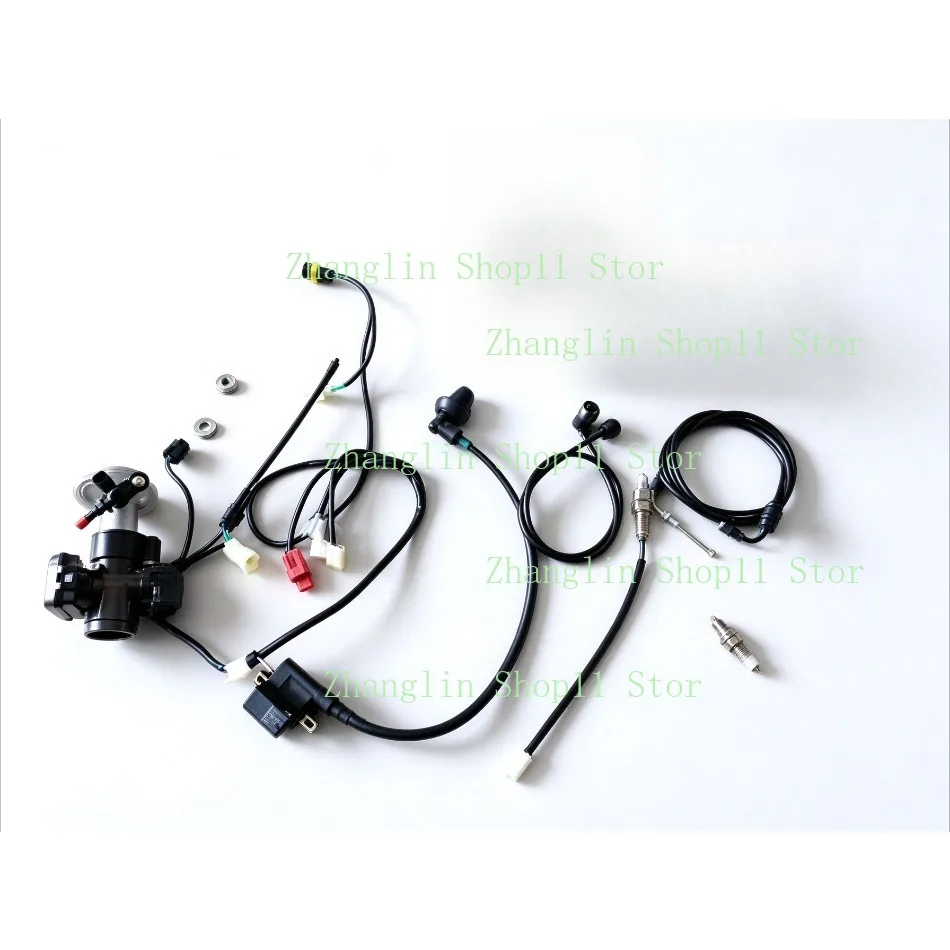 For ROJO GY6-125-150 Carburetor To EFI Conversion Kit Motorcycle EFI Conversion Kit with Built-in Fuel Pump/Remote Fuel Pump
