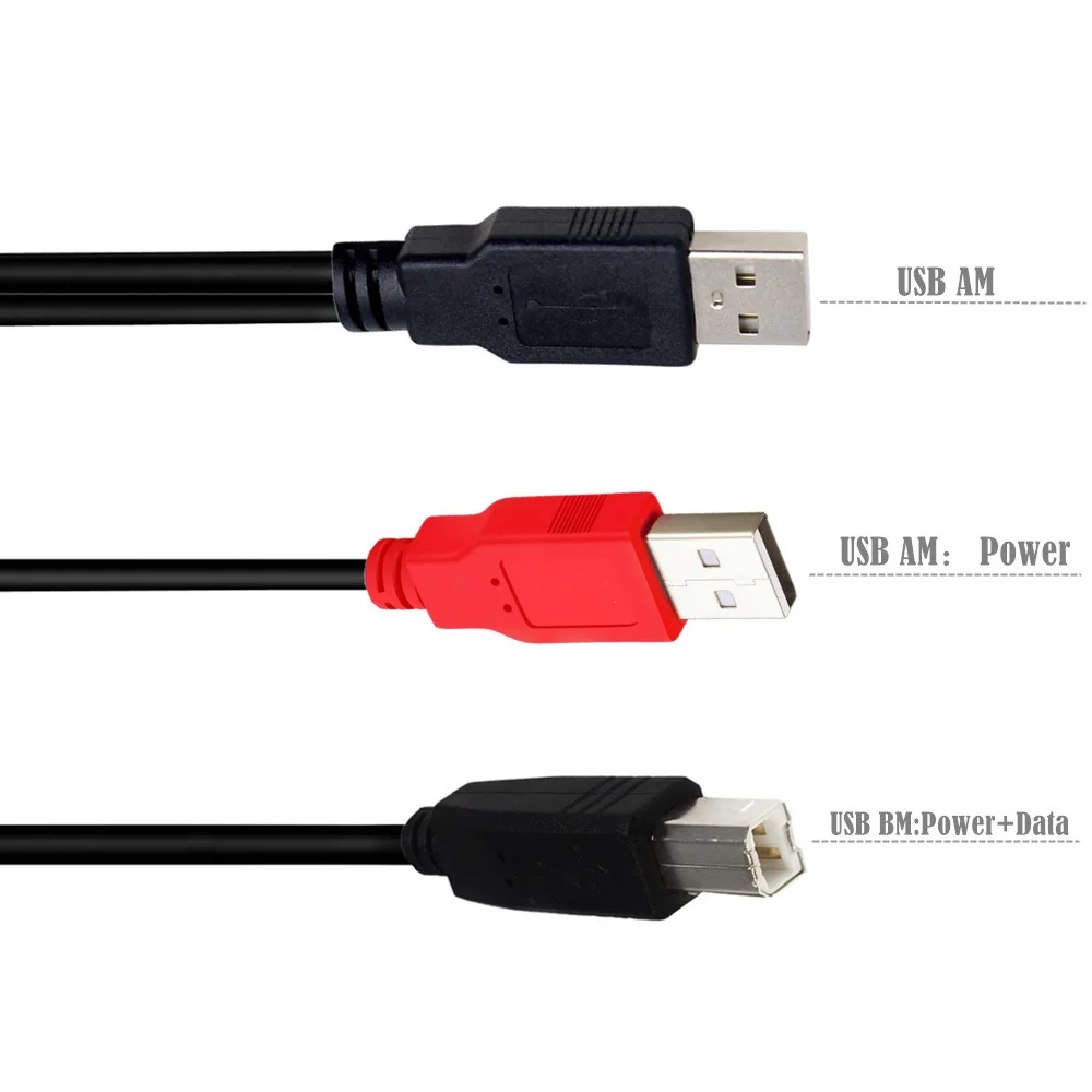 Dual USB 2.0 Male to Standard B Male Y Cable  for Printer & Scanner & External Hard Disk Drive Cable 80/20cm；