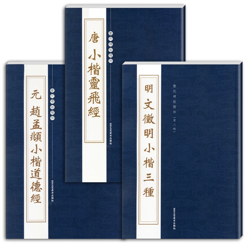 

Chinese Classic Calligraphy Copybook Regular Script Brush Pen Hard Pen Practice Book HD Featured Original Inscription Collection