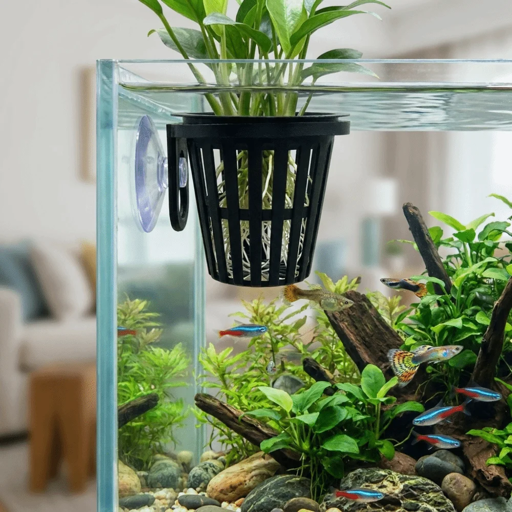 Top Hanging Aquarium Plant Holder Screw Clamp/Suction Cup Soilless Cultivation Hydroponic Planting Basket Plastic Wall-Mounted