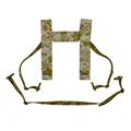AOR1