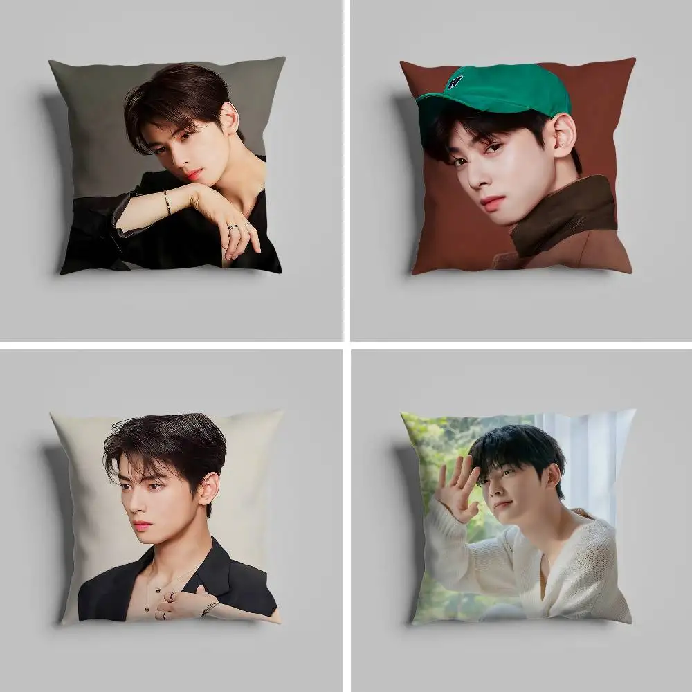 

Kpop Singer Cha E-Eun W-Woo наволочка для автомобильных подушек 60x60 роскошный двусторонний чехол для дома и украшения дивана 30x30