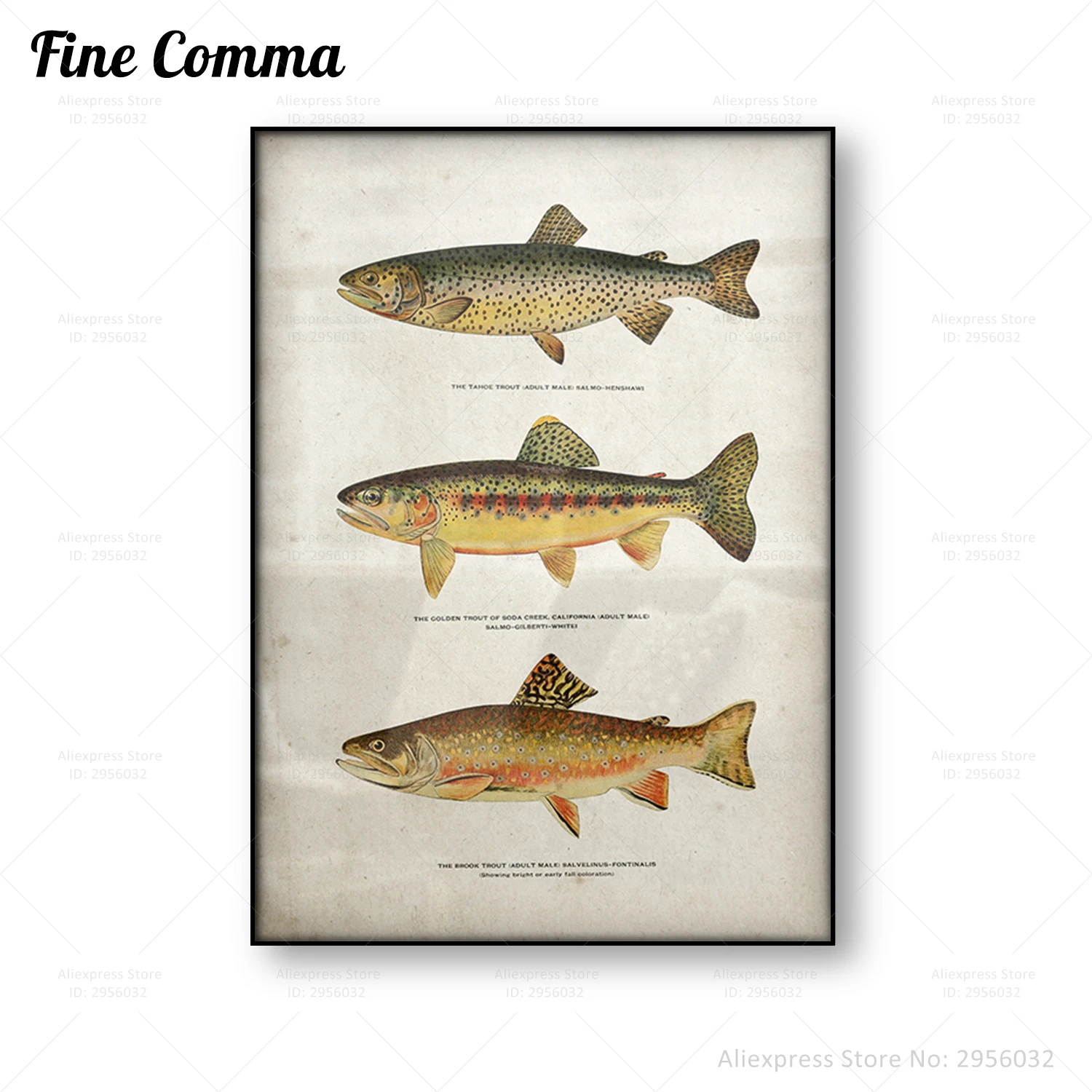 Trout Fish Vintage Poster Fly Fishing Cabin Wall Art Decor Angler Art Canvas Print Antique Trout Illustration Home Decor Gift