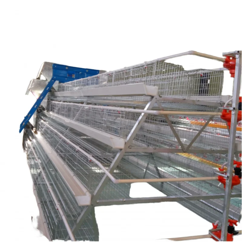 Offre spéciale un Type de Cage à poulet à batterie bon marché fil galvanisé 3/4 niveaux couches Cages à poulet vente dans la ferme avicole du Zimbabwe