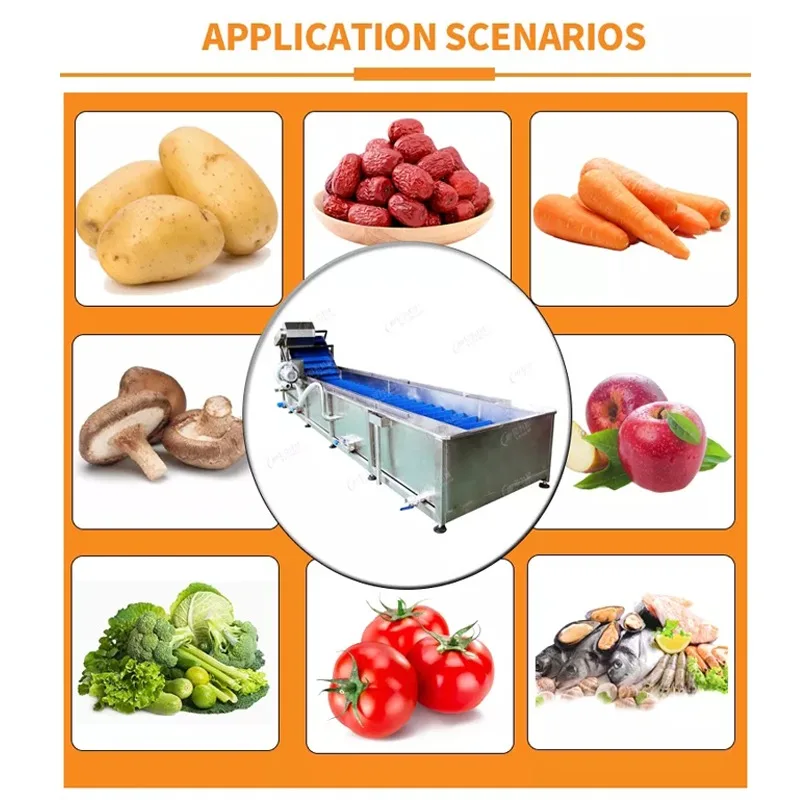 Industrial Bubble Washing Machine for Potato Carrot Vegetable Pineapple Fruit Cleaning Core Components PLC Gear Pump Engine