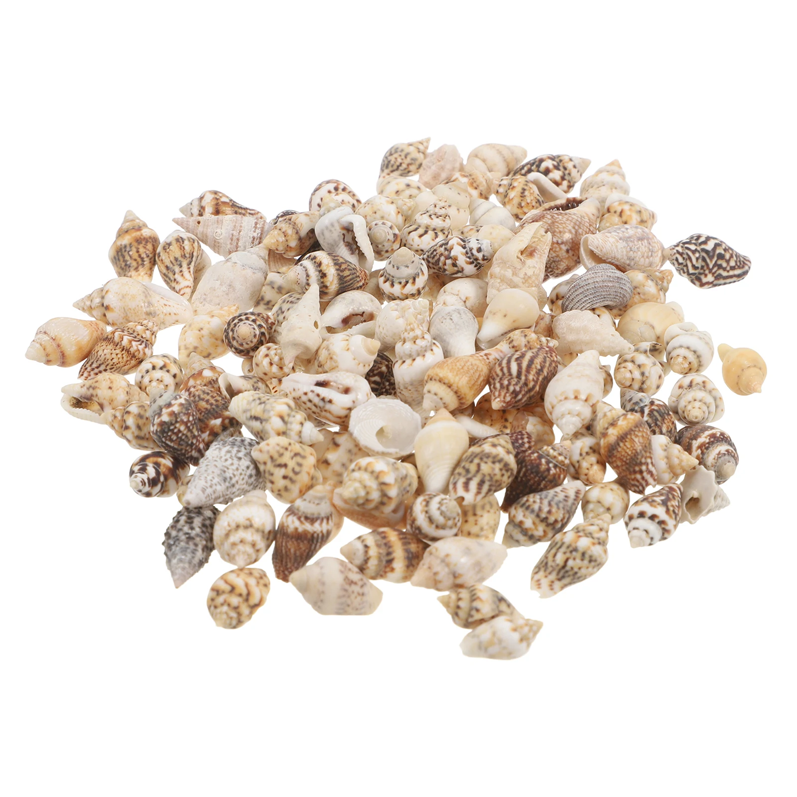 

Mini Seashells Natural Conch Beach Party Favors Coastal Decor Crafts Ocean Vase Fillers Clam Shells DIY Supplies Mixed Spiral