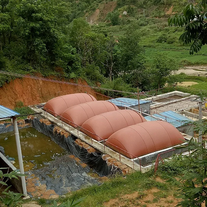 Red Mud Soft Biogas Gas Storage Bag Agricultural Farm Septic Tank Bag Customized Product No Fixed Sizes Custom Size Customized