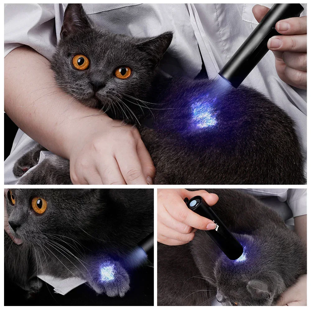 USB Rechargeable Mini 365nm UV Flashlight 3W Ultraviolet Torch Pets Urine Cat Tinea Money Ore Scorpion Detection Flashlights