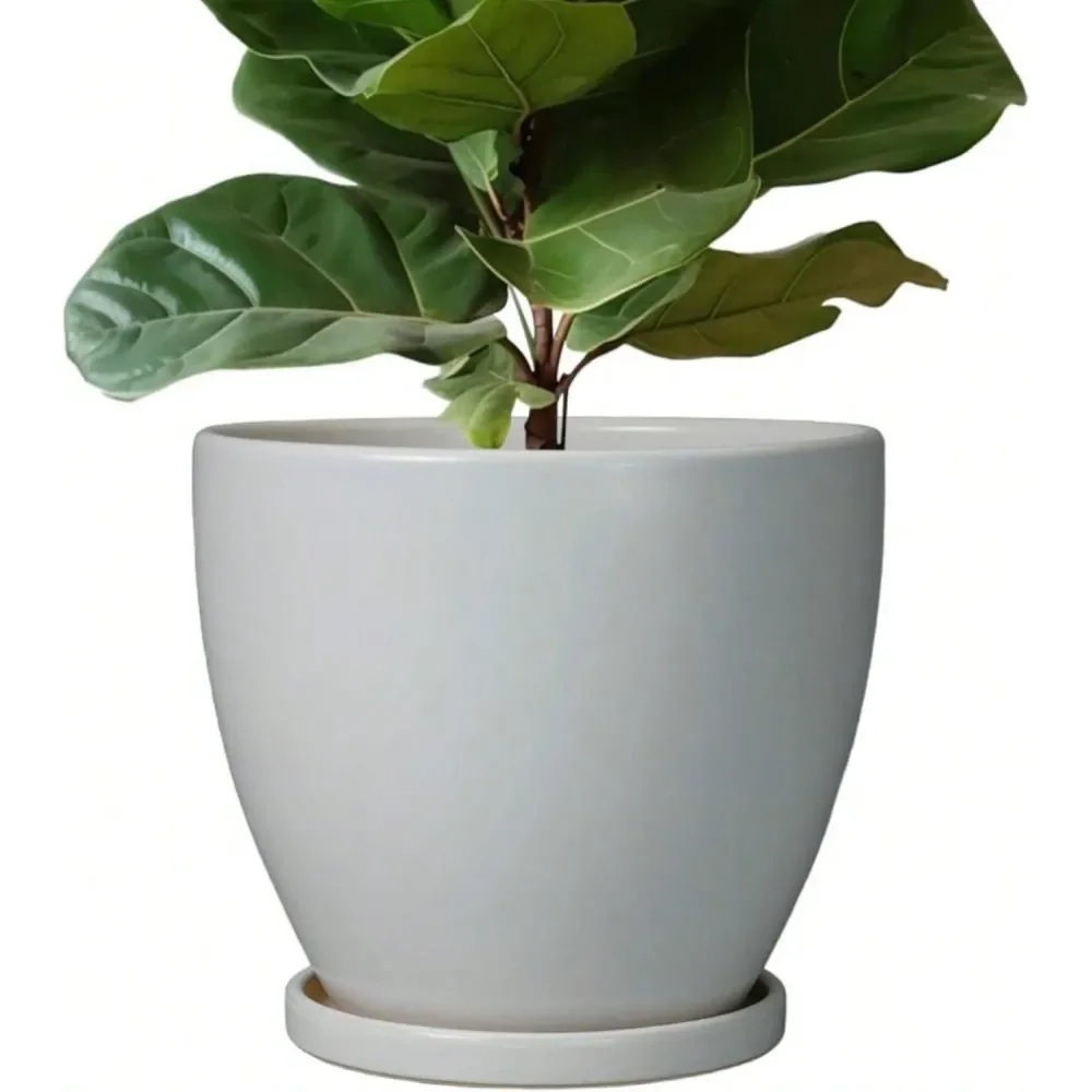 

10 Inch Planter Ceramic Pots For Plants, Planters With Drainage Hole And Tray, Modern Flower Pots Indoor, Home Living Room Pati