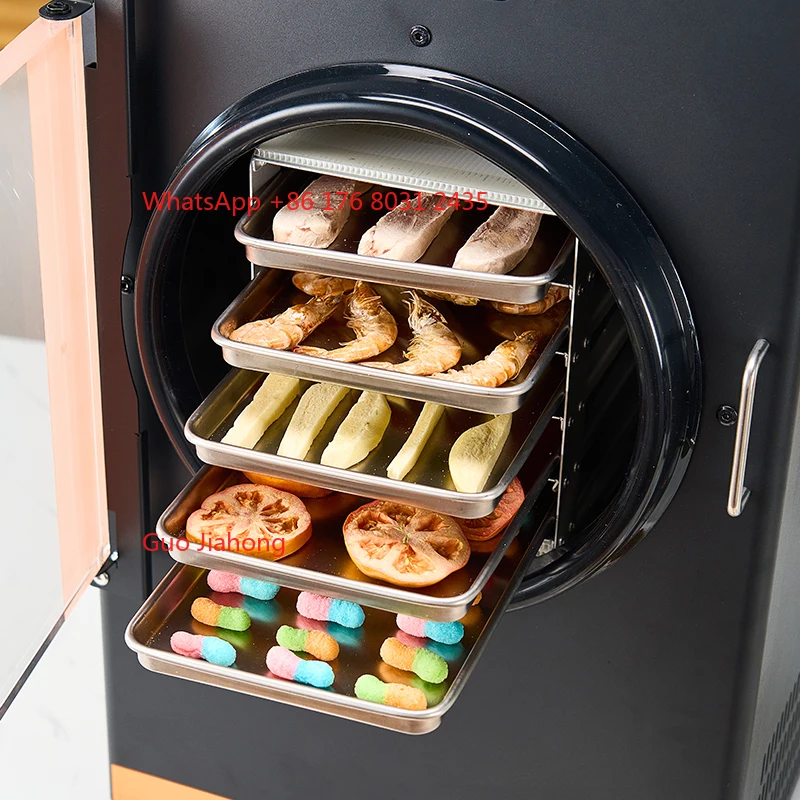 

DALLE Wholesale High Quality 6kg Automatic Drying Machine Home Use Vacuum Fruit Drying Equipment Food Processing