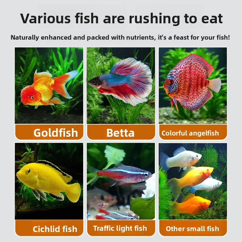 DEERA Freeze-Dried Bloodworms for Tropical Fish, Natural Food for Guppy, Betta & All Small Aquarium Fish