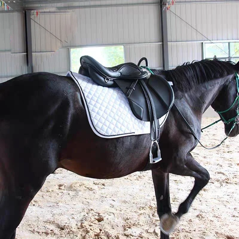 سرج التحمل الشامل بحزام بطن مزدوج مجموعة كاملة من ملحقات مدرب الحصان الكبير البريطاني لمسافات طويلة