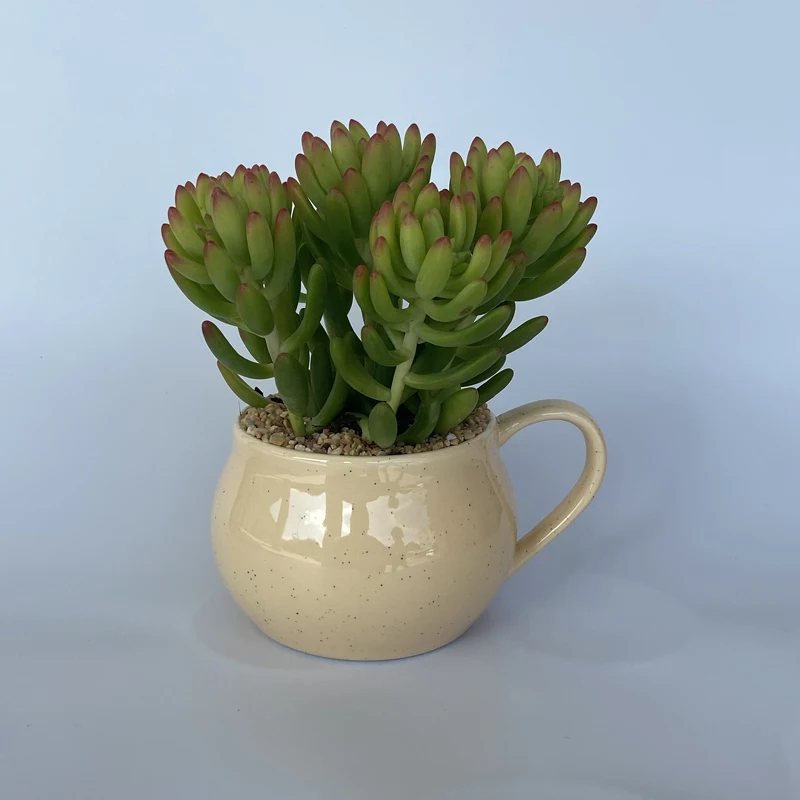 Abstract Chest Ceramic Flower Pot Porcelain Mug Countertop Decoration Green Plant Cactus Art Home