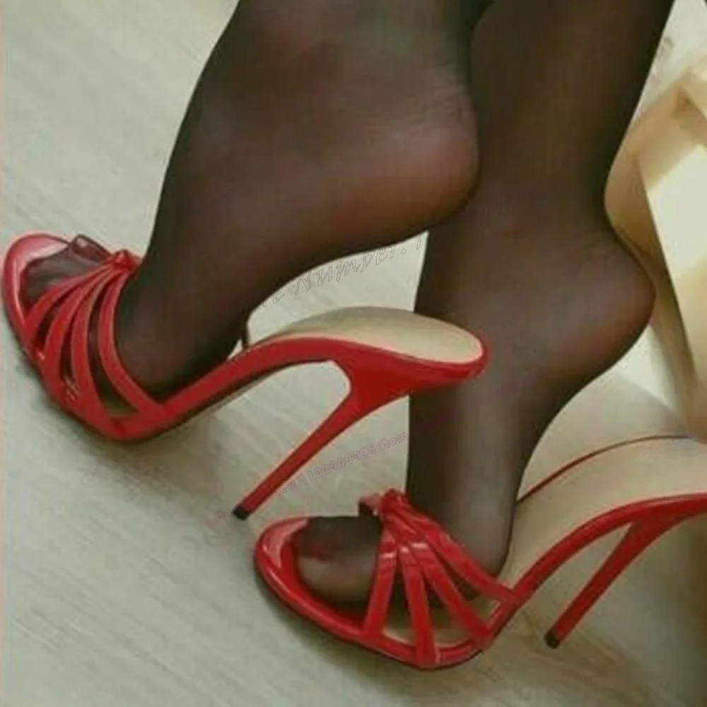 Red Knot Extreme Hi… - image