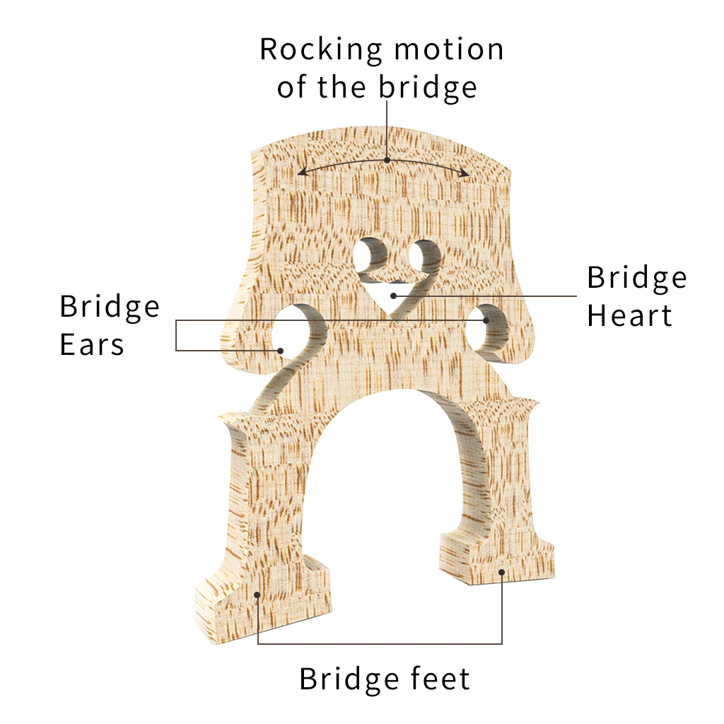 NAOMI TOP AA Grade Maple Double Bass Upright Bass Bridge German Style Bridge For 4/4 3/4 1/2 1/4 1/8 Double Bass