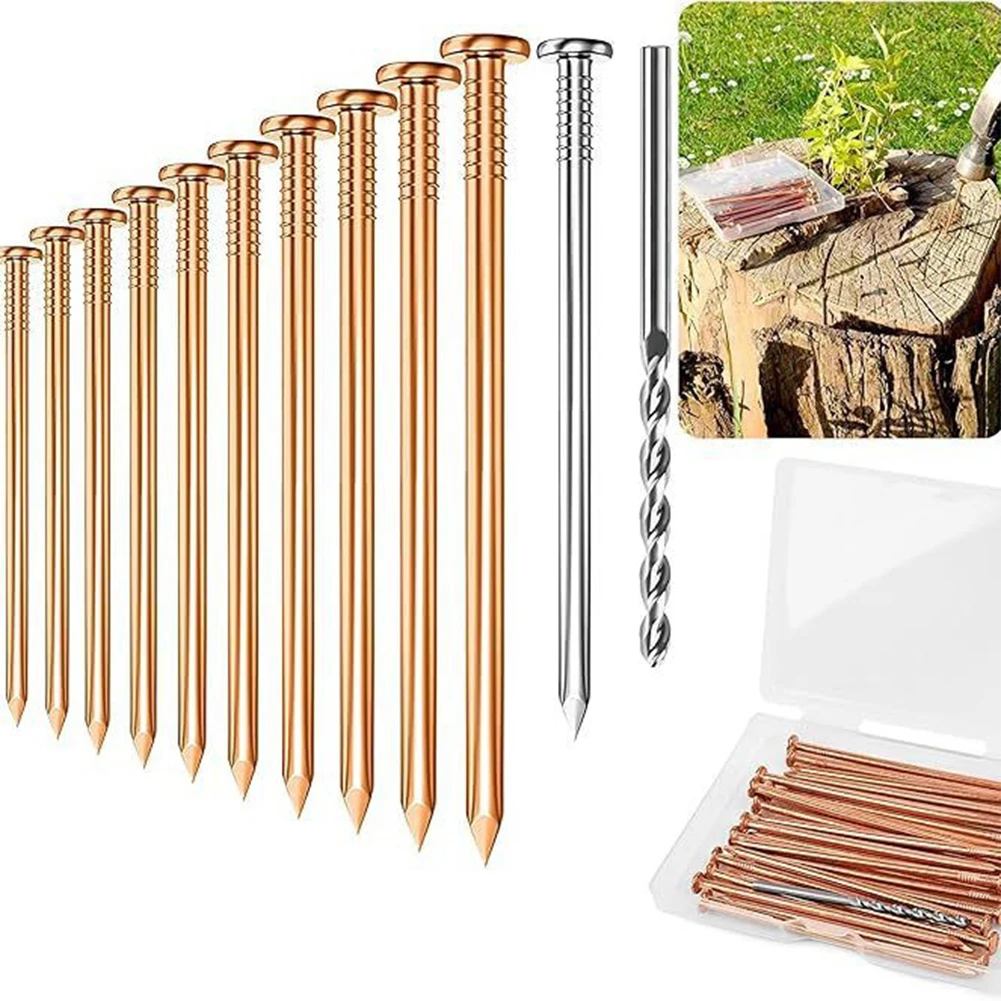 

Tree Killer Nails Kit 4inches Copper Nails For Killing Trees Stump Root Stump Removal Spikes Hardware Trees Tool Accessories