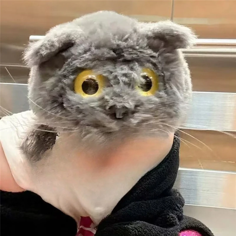 

New Kpop Korean GD Lovely Plush Winter Grey Cat Cap Display