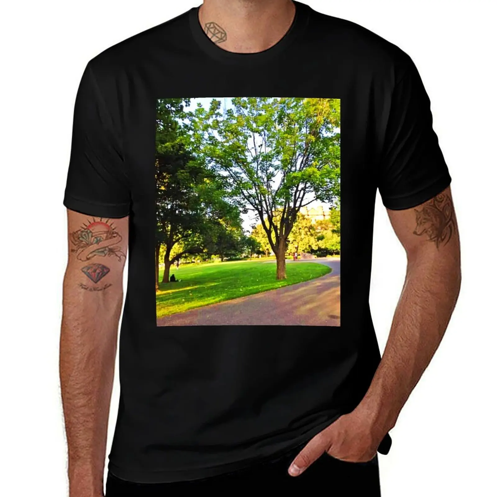 

Trees In Ottawa Park. Buy Now T-Shirt anime shirt plus sizes funny gifts compression shirt men