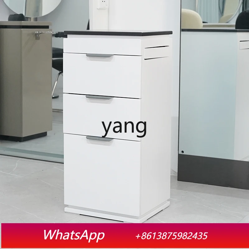 

LH Perm and Dyeing Tool Cart Storage Drawer Cabinet Small Haircut Cabinet