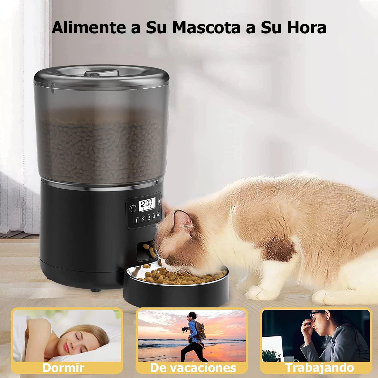 Distributeur automatique de nourriture pour chat, mangeoire automatique pour animaux de compagnie, 4l, chronométré et quantitatif, résistant aux insectes et à l'humidité, Machine d'alimentation sans