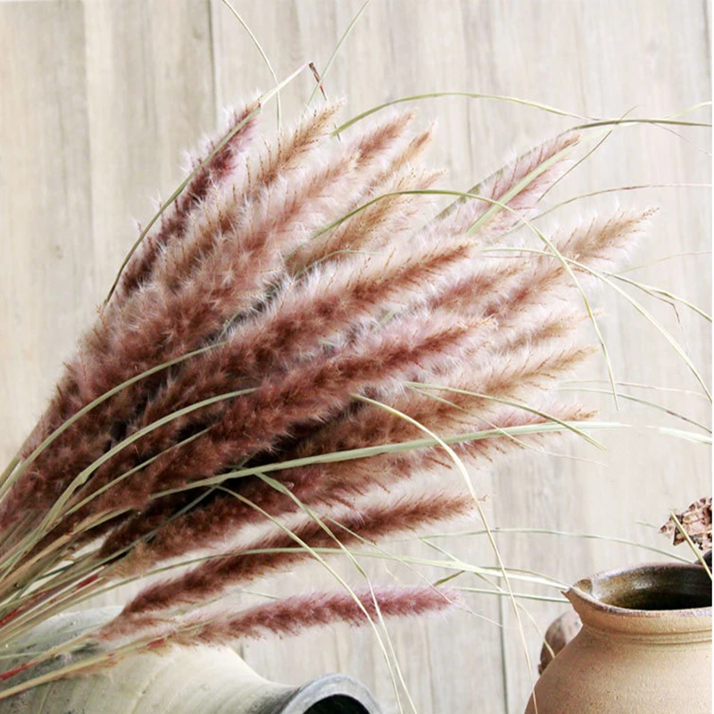 15Pcs Dekoration Dried Small Pampas Grass Flowers Pantas Artificiales Para Decoracion Real Plants Home Decor Wedding Decoration