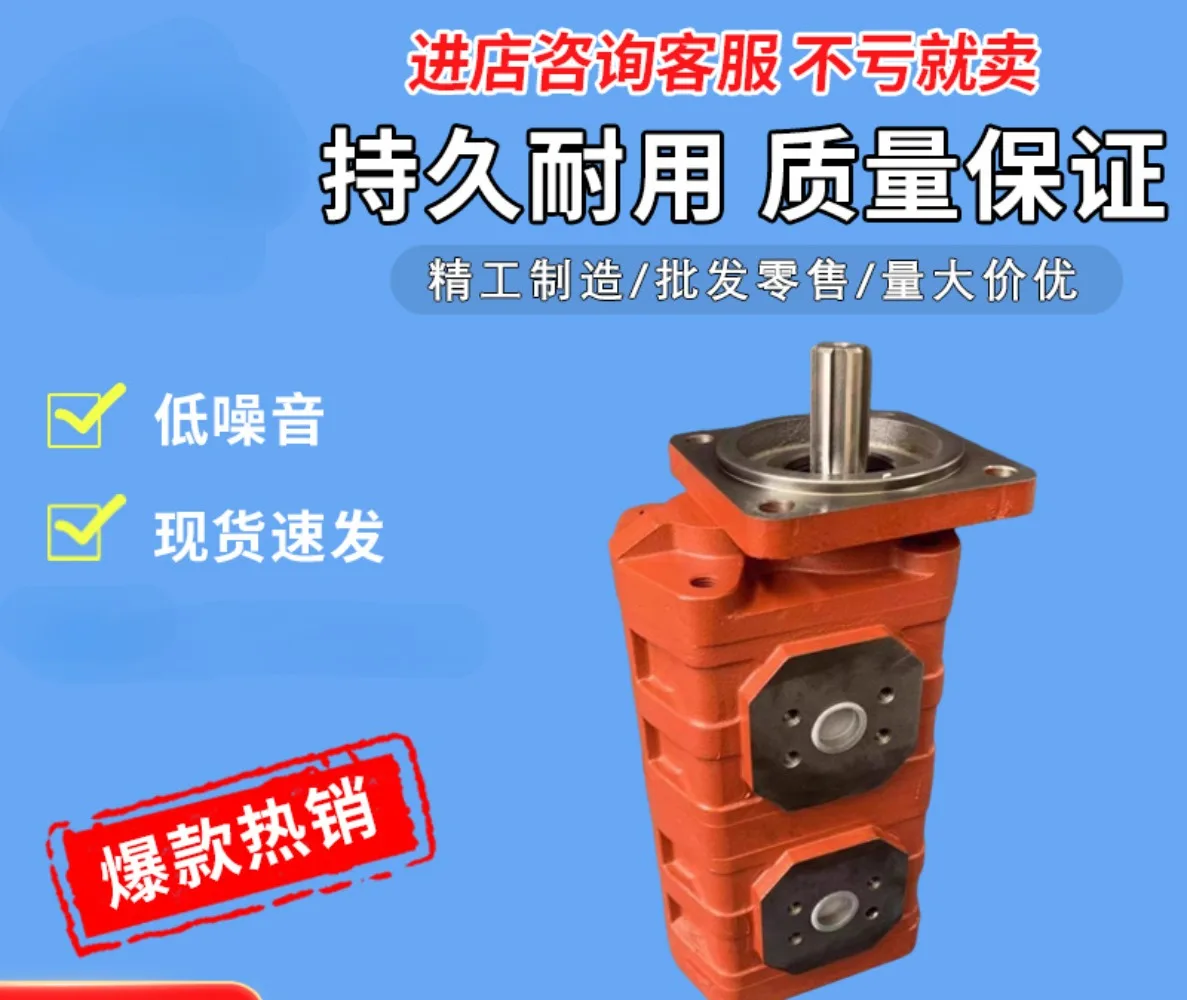 CBG/CBGJ 2032 2100 2080 2063 2050 2040 Double High Pressure Gear Pump