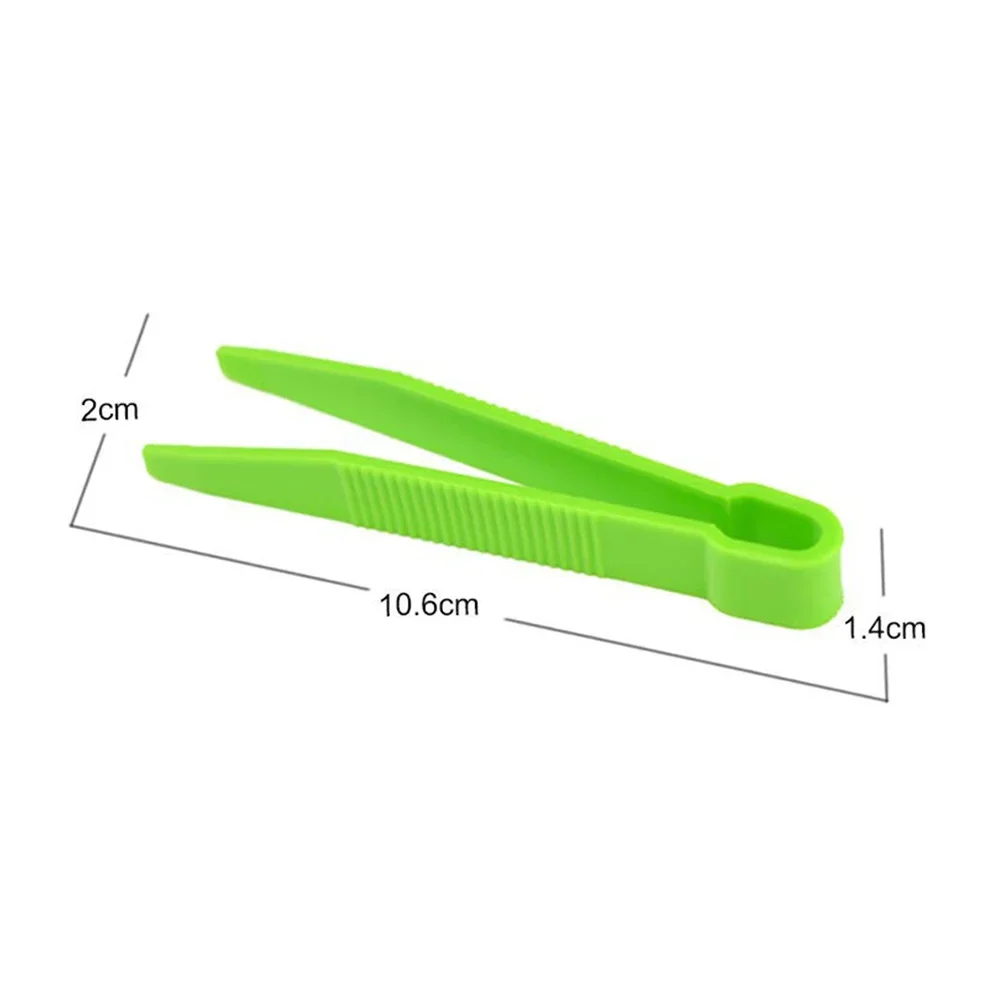 10Pcs Fine Motor Training Accessories for Kids Tweezers Flat Tip Tweezers Coloured Clips Plastic Tweezers Children\'s Toys