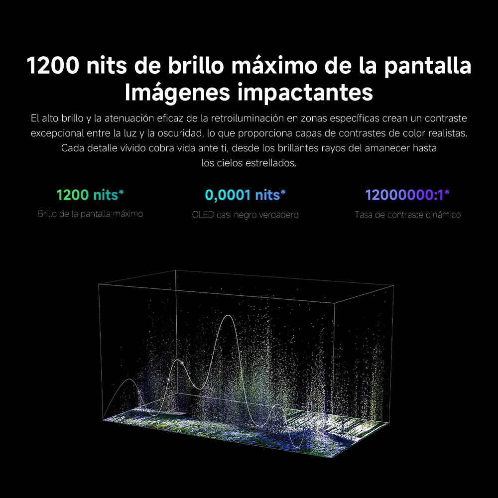 Imagen 5