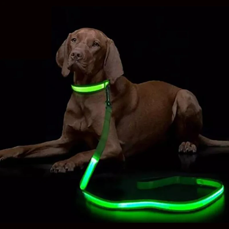 LED 灯项链
