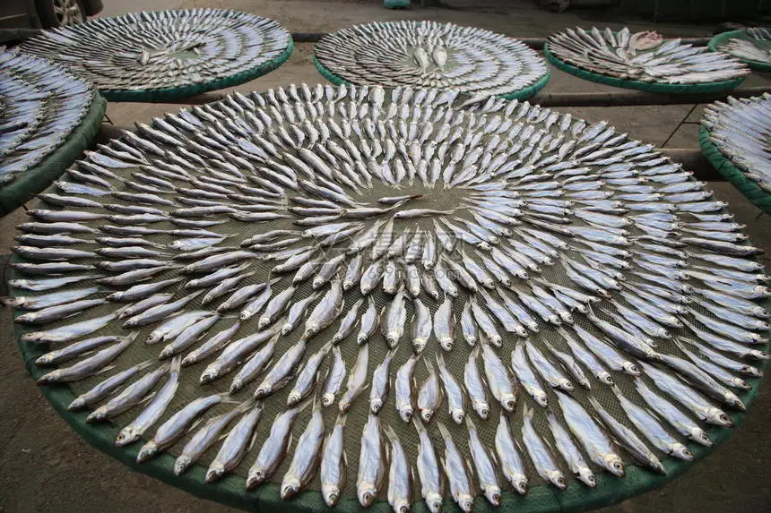 

For MJX 1/14 14209 14210 Metal Center Shelf Receiver Box Protective Cover ESC Radio Electronic Tray Upgrade Spare Part