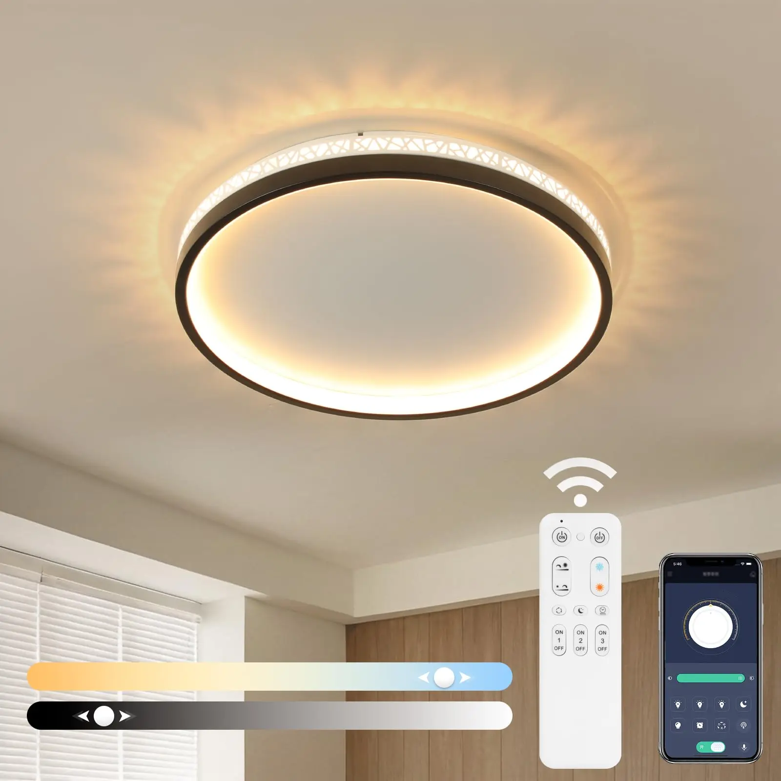 

Ceiling Light LED Lighting 30W 3000LM Led Light Dimmable with Remote Control， Flush Mount Light Fixture