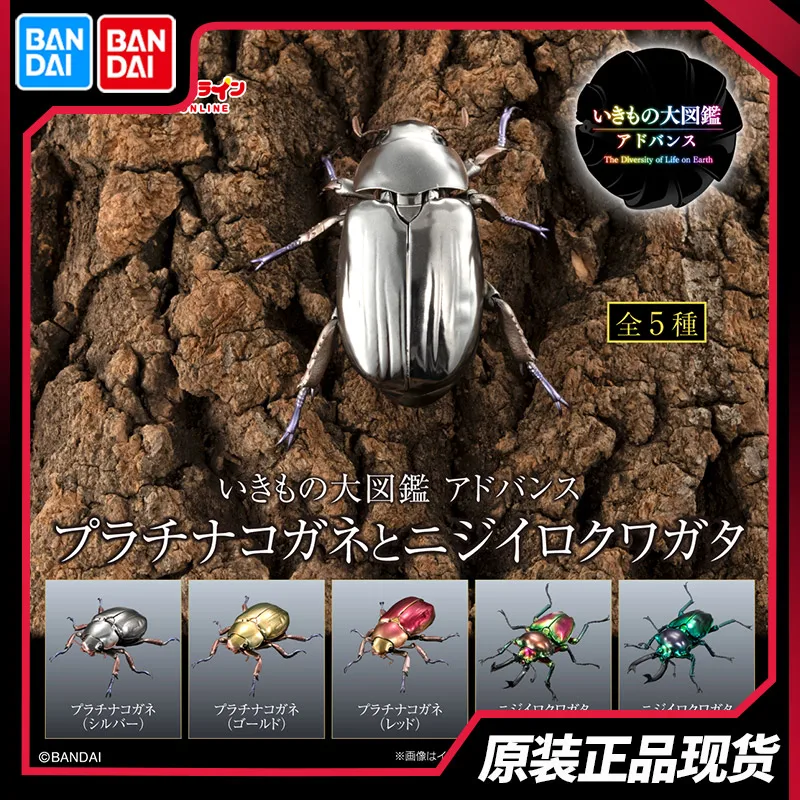 En Stock, Enciclopedia Biológica Bandai, joya Gashapon, escarabajo, escarabajo de ciervo arcoíris, escarabajo de insectos articulado realista