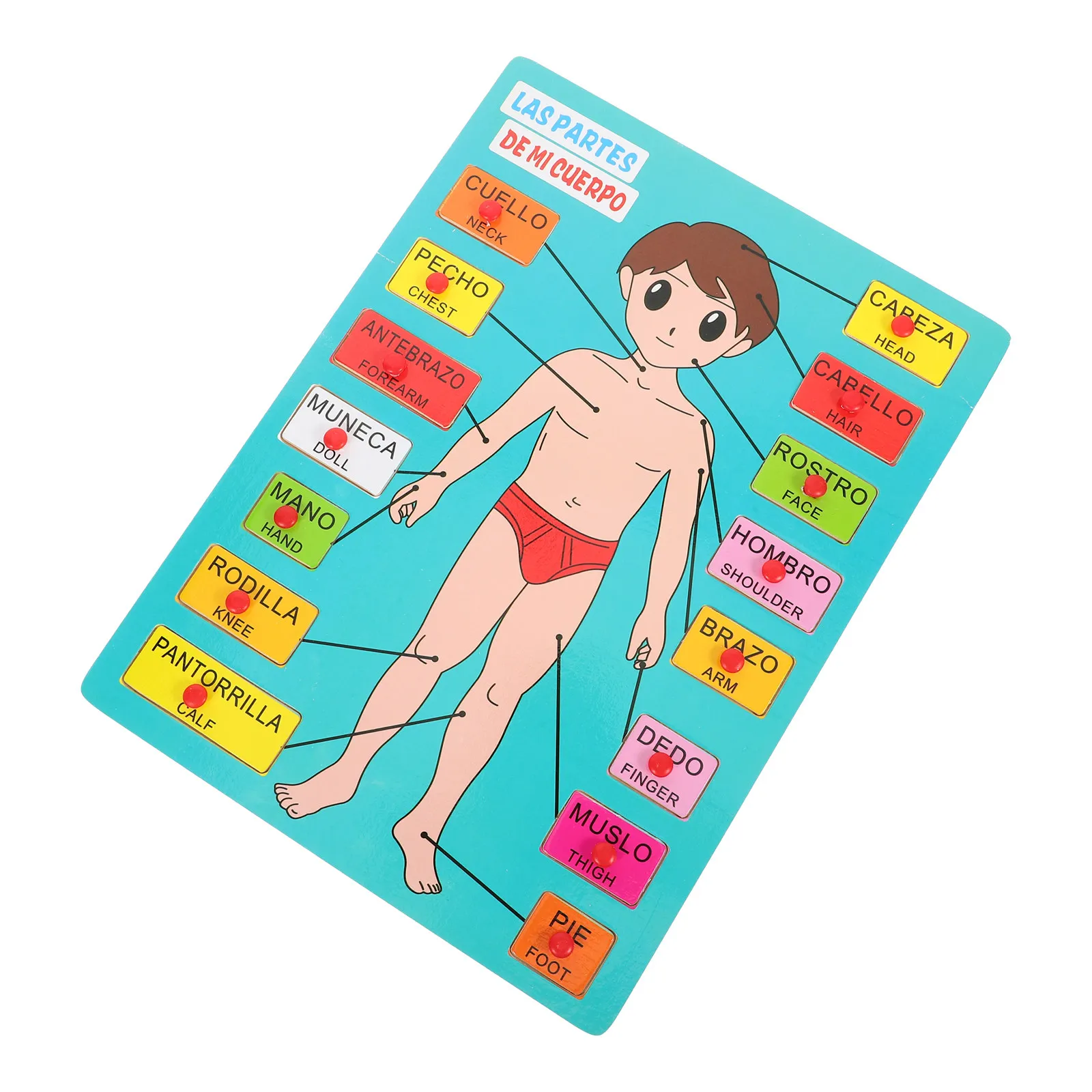 

1 Set Spanish Wooden Human Body Puzzle Educational Board for Kids Early Learning Preschool Teaching Aid Cognitive Development