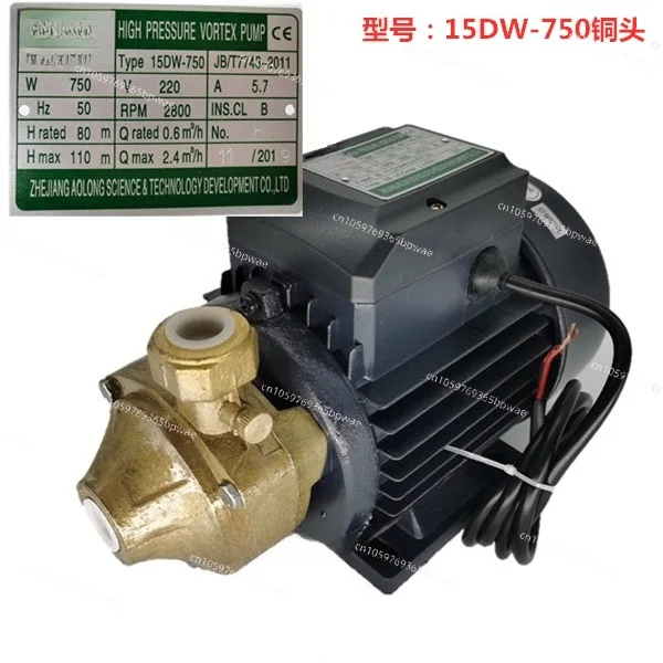 15DW750W High Pressure Vortex Pump Steam Generator Electric Heating 1.1KW Pellet Boiler Water Pump